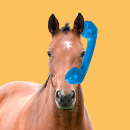 Horse Chat image