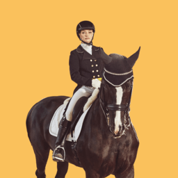 Horse Riding and Training image