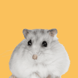 Small Animal Rescue and Adoption image